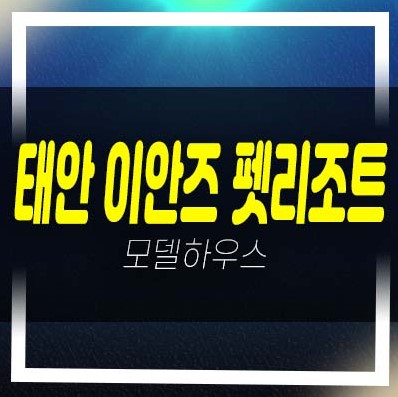  태안 이안즈 펫리조트 천리포해변 레지던스 호텔 생숙 분양가 세컨하우스 모델하우스 예약!