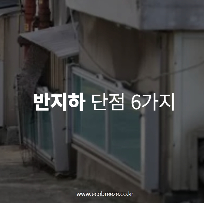  반지하 단점 벌레, 곰팡이외 6가지 문제점