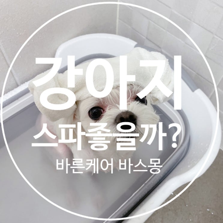 강아지도  스파 입욕제를 하면 좋을까?