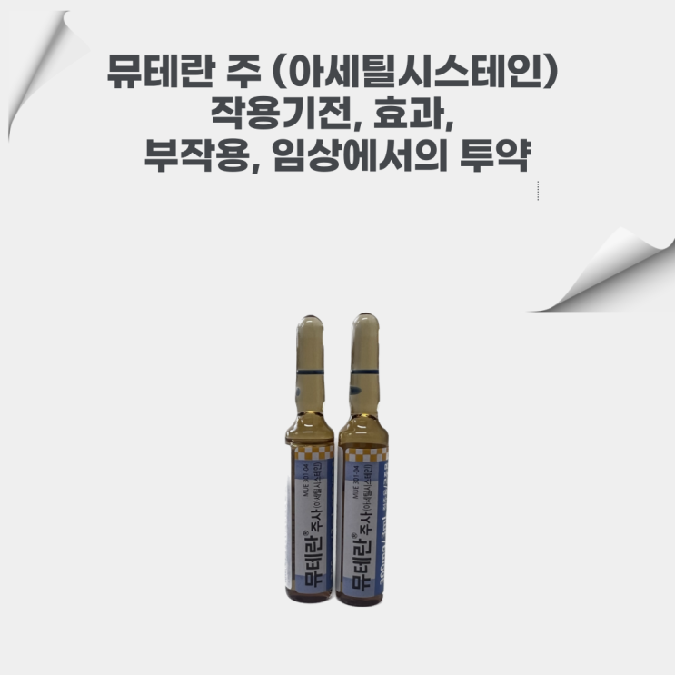  뮤테란 주(아세틸시스테인)의 작용기전, 효능, 부작용, 임상에서의 투약에 대해서 알아봐요!