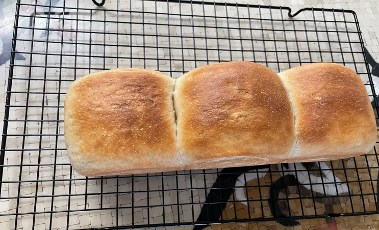  오버나이트 통밀 식빵