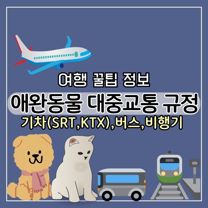 [여행 정보] 강아지,고양이 반려동물 여행 대중 교통 규정 총 정리! 기차(SRT,KTX),버스,비행기