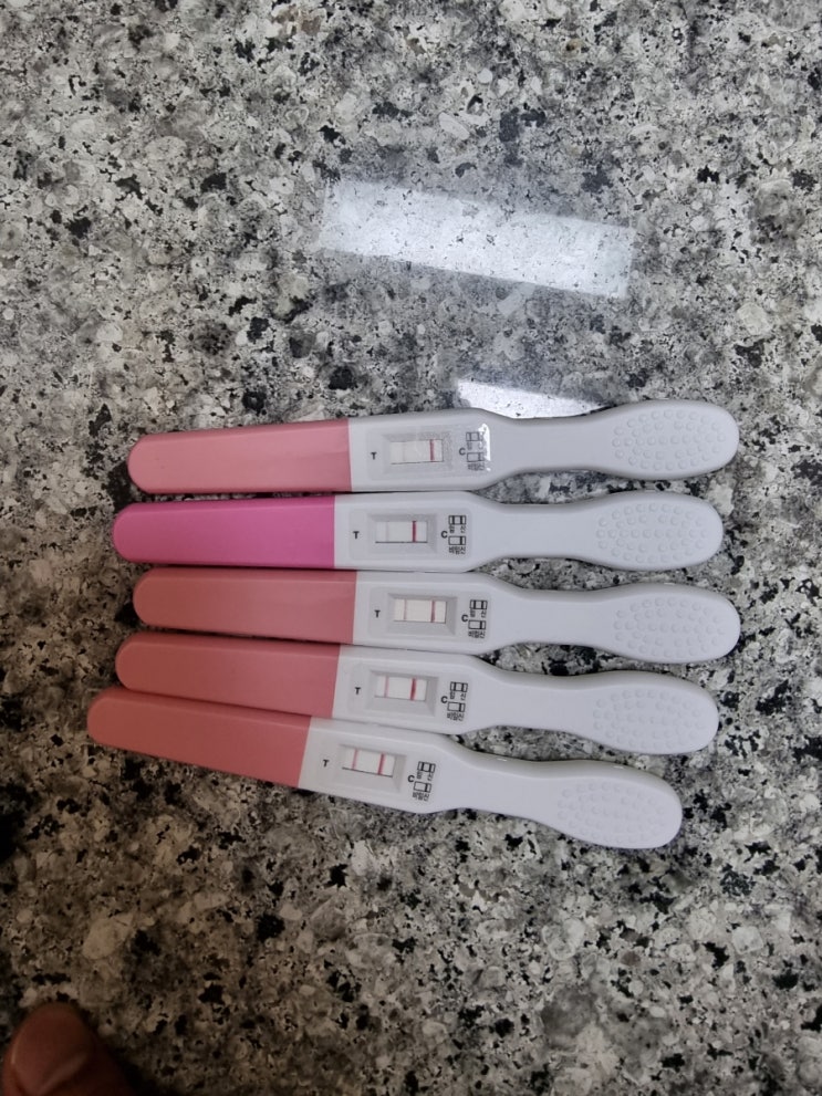  천안 임신 호르몬 검사 피검사 수치 빨리 나오는 곳