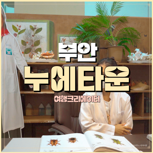  전북 부안누에타운 부안관광지 추천, 가족들과 전북 여행 일정, 아이 연인끼리 당일치기 관광지, 부안 여행, 전북 여행, 전라도 여행