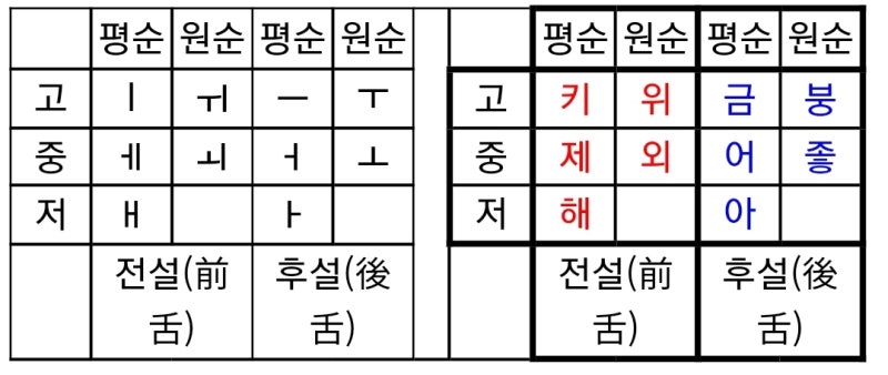 [똥꼬쌤] 국어 음운의 모든것(음운체계 외우는법, 뜻, 종류, 개수, 장단음,..) : 네이버 블로그