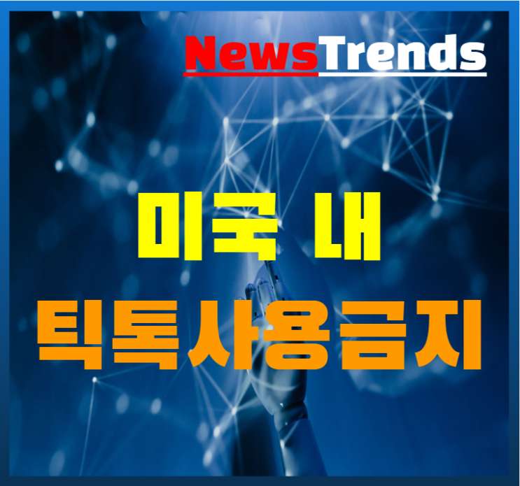  미국 틱톡 사용 금지 개인정보 퇴출 CEO 문제