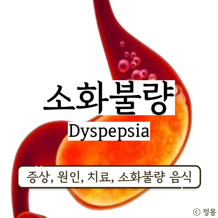 소화불량 증상 음식 기능성 소화불량 복부팽만 치료 개선방법 소화불량 증상 음식 기능성 소화불량 복부팽만 치료 개선방법