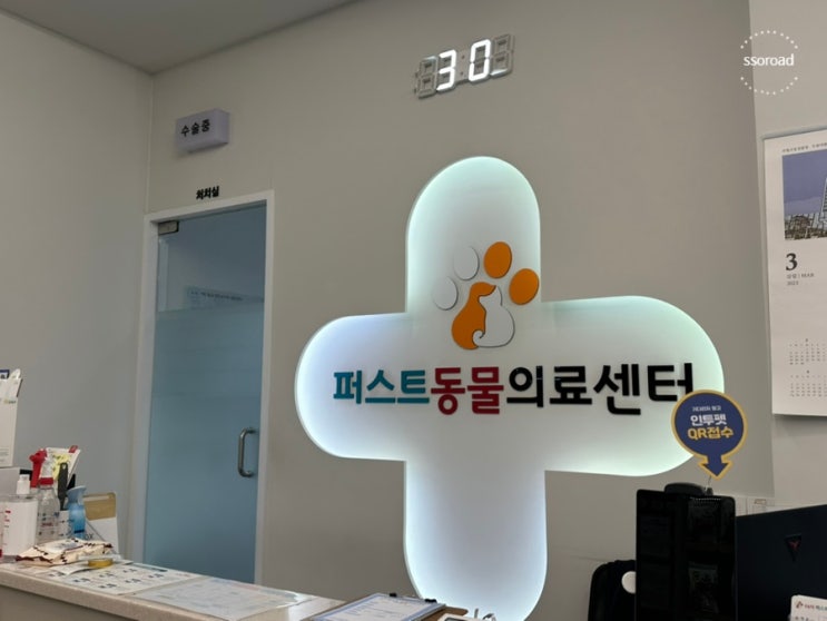 [인천 24시 동물병원 추천] 24시퍼스트동물의료센터 :: 고양이 진료, 입원 후기 (고양이 밥 안먹음, 화장실 안감, 특발성 방광염 등)