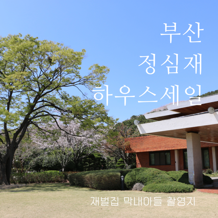  부산 열린공간 정심재 재벌집 막내아들 촬영지 하우스 세일 3월까지 가봐야 할 부산명소