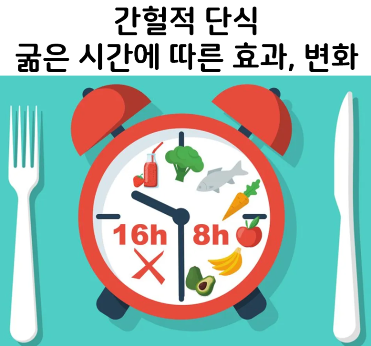  [간헐적 단식] 굶은 시간에 따른 변화 알아보기