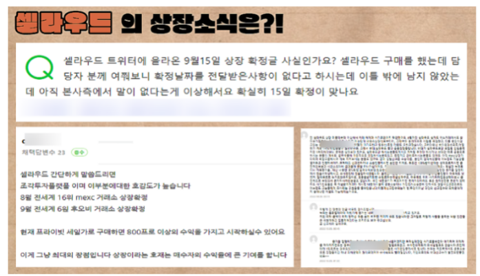  프라이빗세일 코인 셀라우드 CLD 코인 피해자 발생 스캠코인