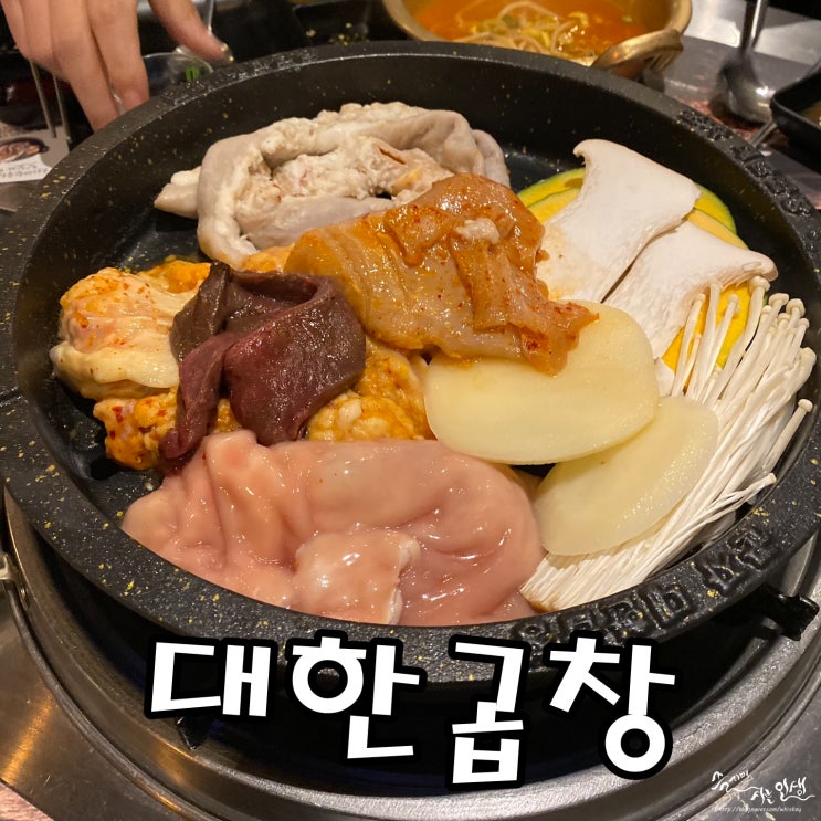  [명동 맛집] 곱창 맛집 군자대한곱창 명동점