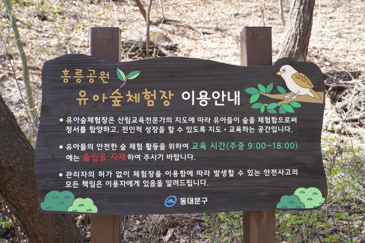 서울 숲체험 77개소에서 자연을 배워요