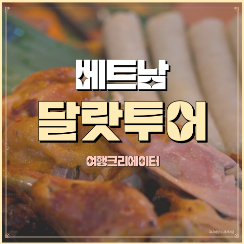  베트남 달랏투어 당일투어  크레이지하우스, 달랏케이블카, 단따라폭포, 알파인코스터, 딸기농장, 죽림선원, 랑비앙
