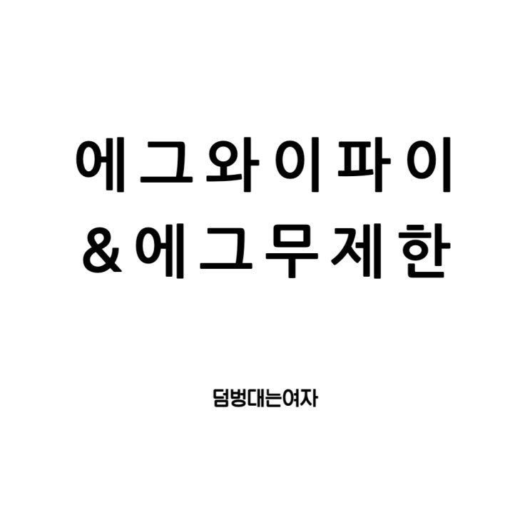  에그무제한와이파이 왜 선택해야 할까?(포켓와이파이)