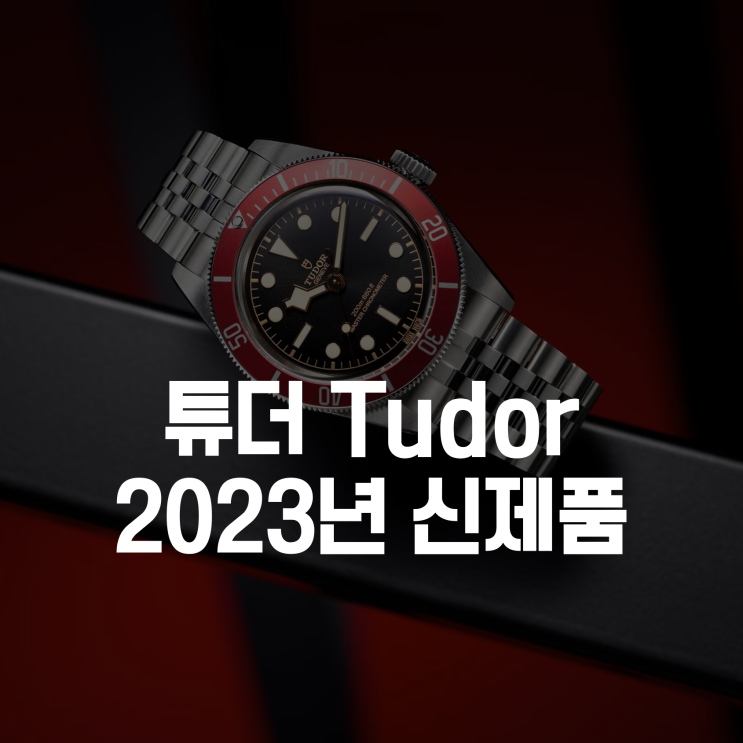  2023년 튜더 신제품 (블랙베이 39, 54, 쥬빌레 스트랩)