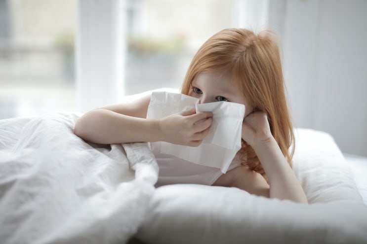  방풍통성산 가미방풍통성산 비염치료 콧물재채기치료 한방치료