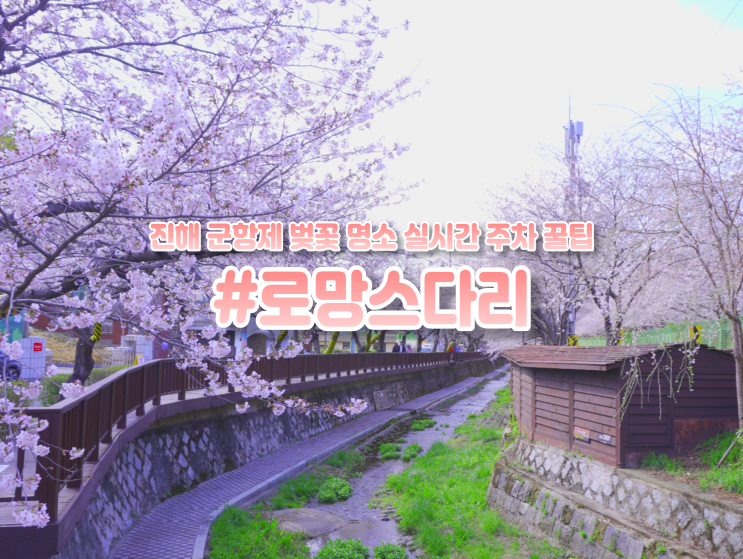  진해 군항제 여좌천 로망스다리 벚꽃 축제 주차 일정