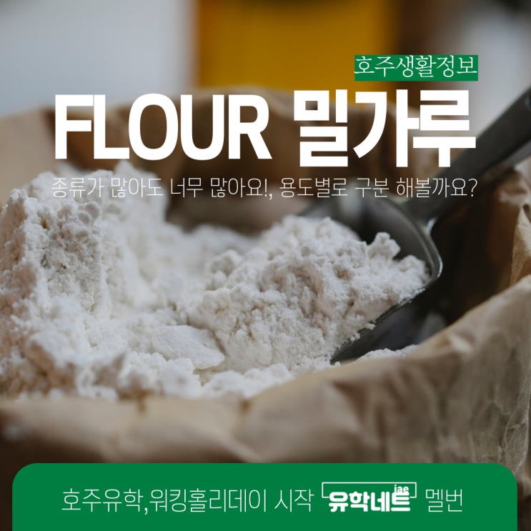  호주 생활정보, 밀가루 종류에 대해 알아보아요! (유학네트 멜버른)