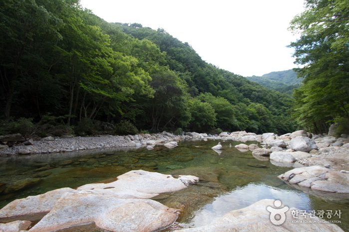 이무기가 죽은 골짜기, 지리산 뱀사골 전설