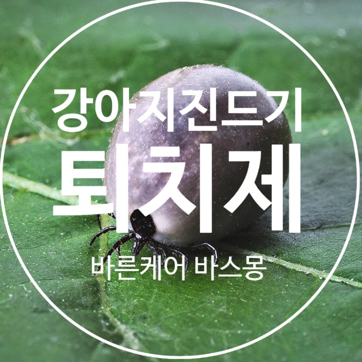  강아지 진드기 퇴치제 , 리뉴얼된 바스몽 몽킬라 좋은 점 4가지