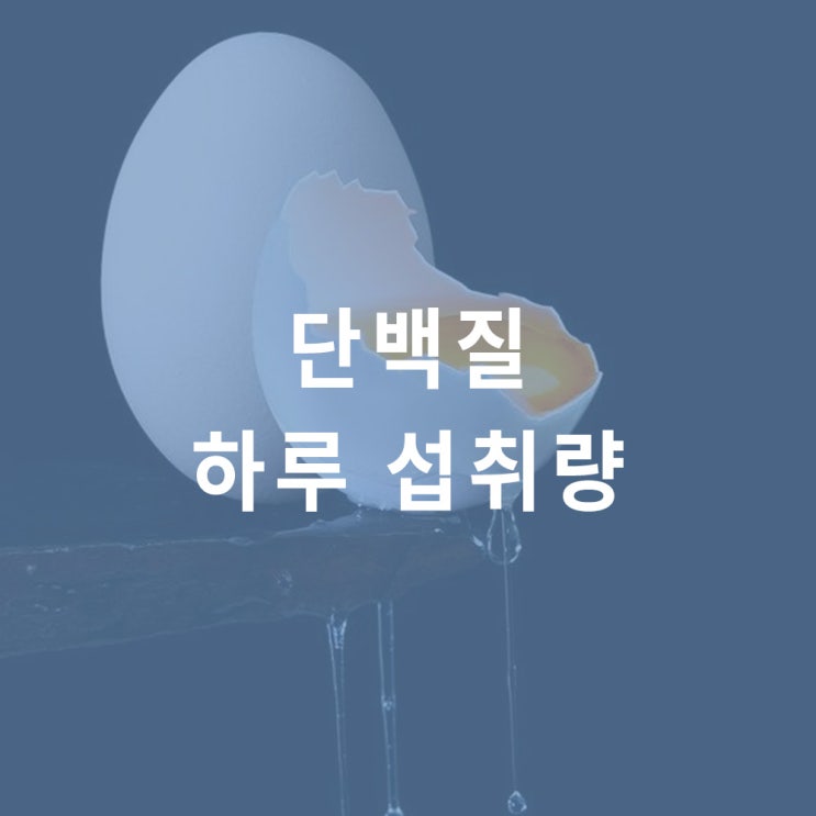  단백질 하루 섭취량 : 몸무계별 권장량, 노인, 만성콩팥병 환자, 동물성 식물성 식품 함량