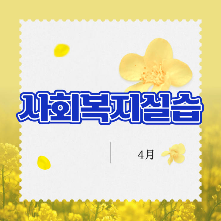  사회복지실습 기관 선정하고 진행해요
