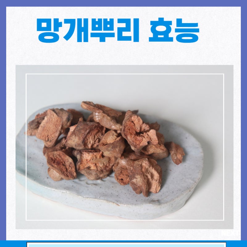 망개뿌리 효능 토복령 효능 부작용 토복령차 망개뿌리차 : 네이버 블로그