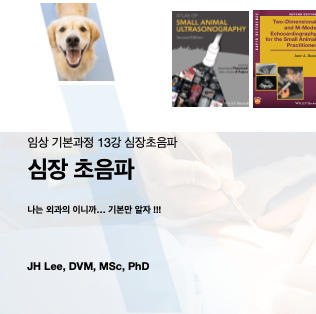  임상수의기본 13강. 소동물 심장초음파 이해하기 (심장내과 또는 영상전공의가 아니라면.. 이정도만 ^^)
