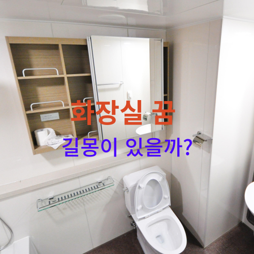  꿈속에 화장실이 나오면 대부분 길몽인데. 흉몽도 있어요 !! ( 화장실꿈 해몽 )