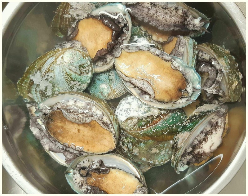 전복장 담그는법 황금레시피, 만들기 쉬운 장아찌요리 보관법까지