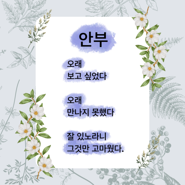 안부 시 보고 싶은 사람이 생각날 때 추천하는 시 (ft. 끝까지 남겨두는 그 마음, 나태주 시인)