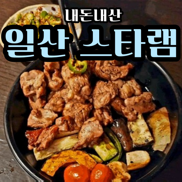  스타램  내돈내산  솔직 후기