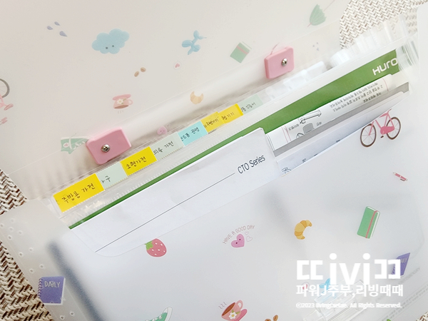  단돈 3천원 다이소 섹션파일로 간편하게 서류정리하기