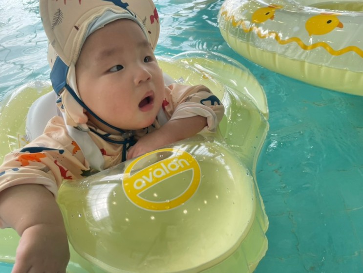 거제 벨버디어 (2) : 7개월 아기와 수영장