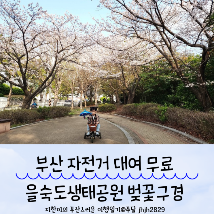  부산 자전거 무료대여 을숙도 생태공원 벚꽃산책길