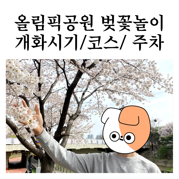  2023 올림픽공원 벚꽃 피크는 이번 주?  w.주차정보, 코스 추천