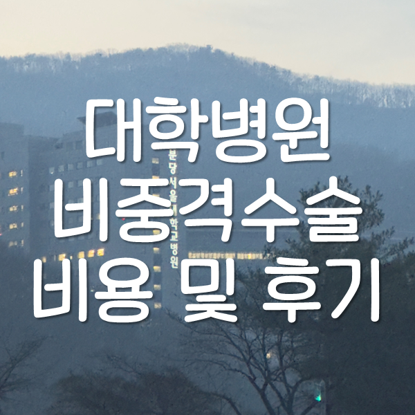 분당서울대병원 비중격(비염) 진료비, 수술비용 총정리 및 후기