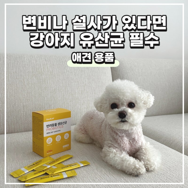 강아지 유산균, 설사 변비가 있다면 펫펫펫 굿랩 프로바이오틱스 추천
