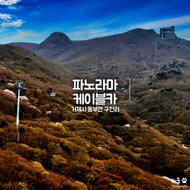 경남 거제 파노라마케이블카, 애견동반 노자산 벚꽃명소 뷰 맛집｜요금｜할인｜주차장