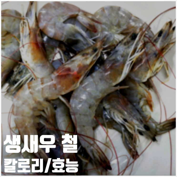  생새우 철 칼로리 효능 정리