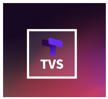  프라이빗세일 코인 트러스트버스 TVS 코인 삼성그룹 사칭 코인