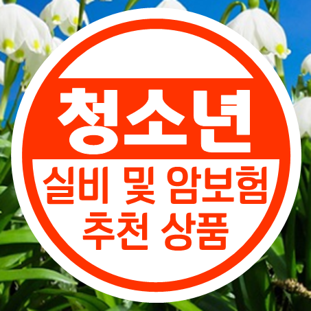  청소년실비보험 가격 비교 및 괜찮은 청소년암보험 추천 상품을 인터넷으로 확인해 보세요.