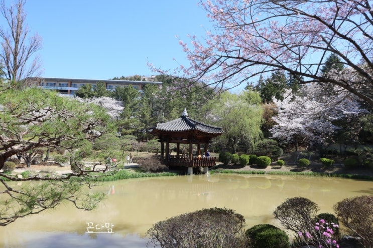  경주 보문정 사진찍기좋은 관광명소