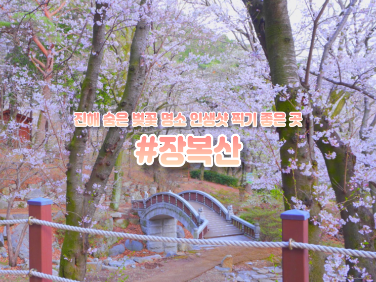  진해 군항제 벚꽃 축제 공원 개화시기 가볼만한곳 장복산