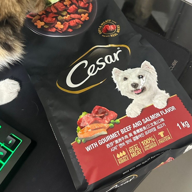  [강아지사료추천] 시저 (Cesar) 애견용 연어 맛이 곁들여진 최상급 쇠고기 어덜트 사료 1kg / 내 돈 내산 후기