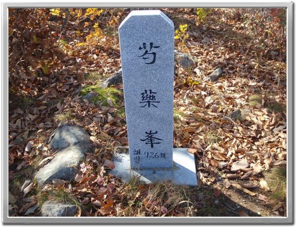 골뱅이골 사진 1