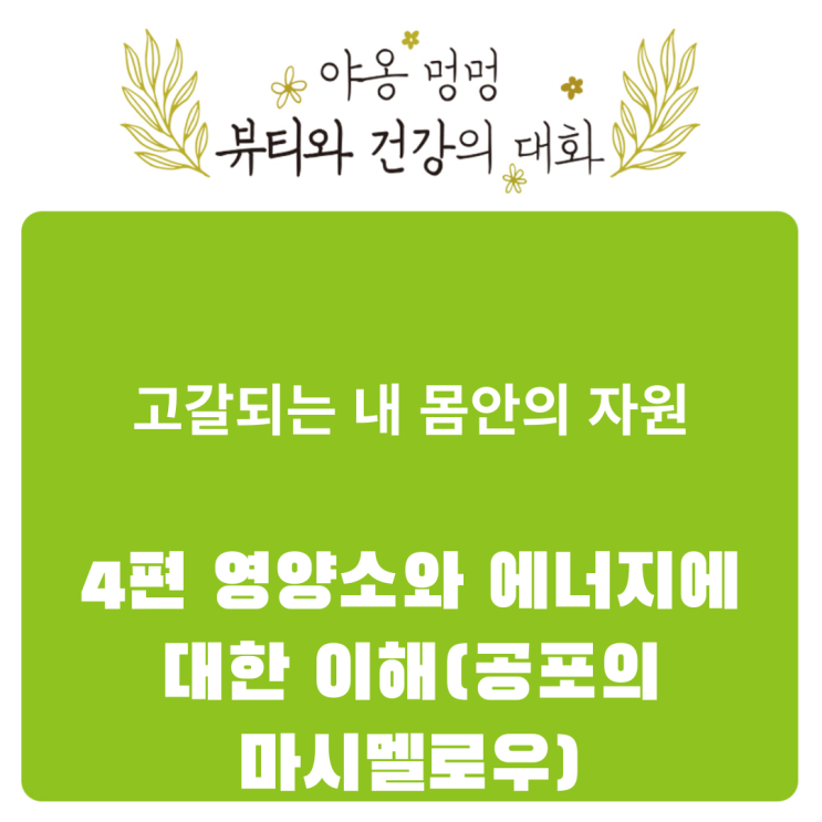  고갈되는 내 몸 안의 자원: 4편 영양소와 에너지에 대한 이해(공포의 마시멜로)