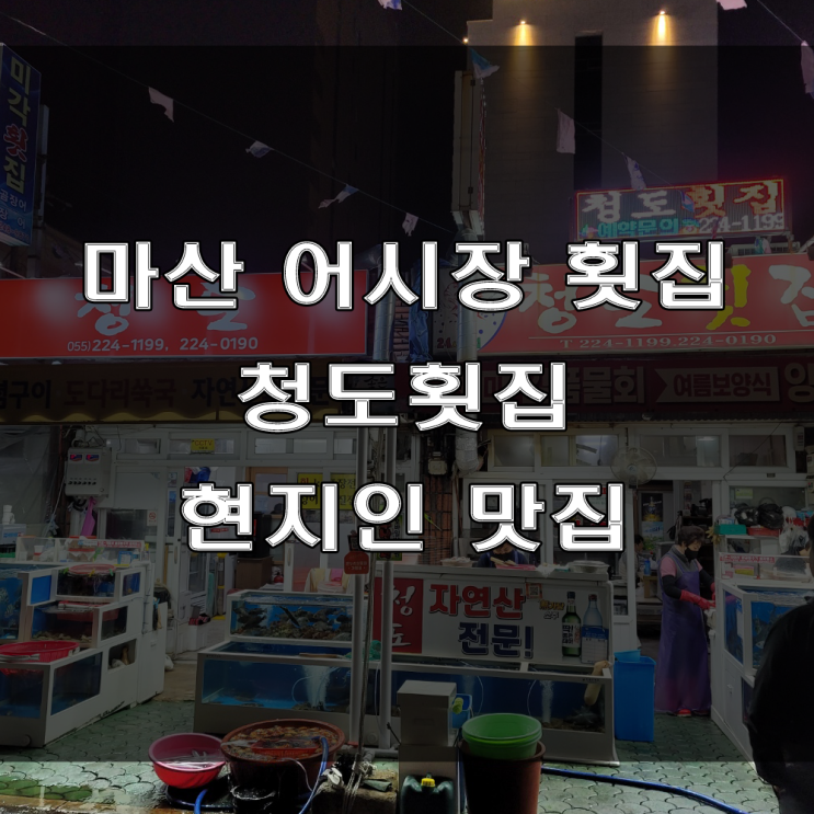 마산 어시장 횟집 : 신선한 도다리 회 맛집, 신포동 청도횟집!!
