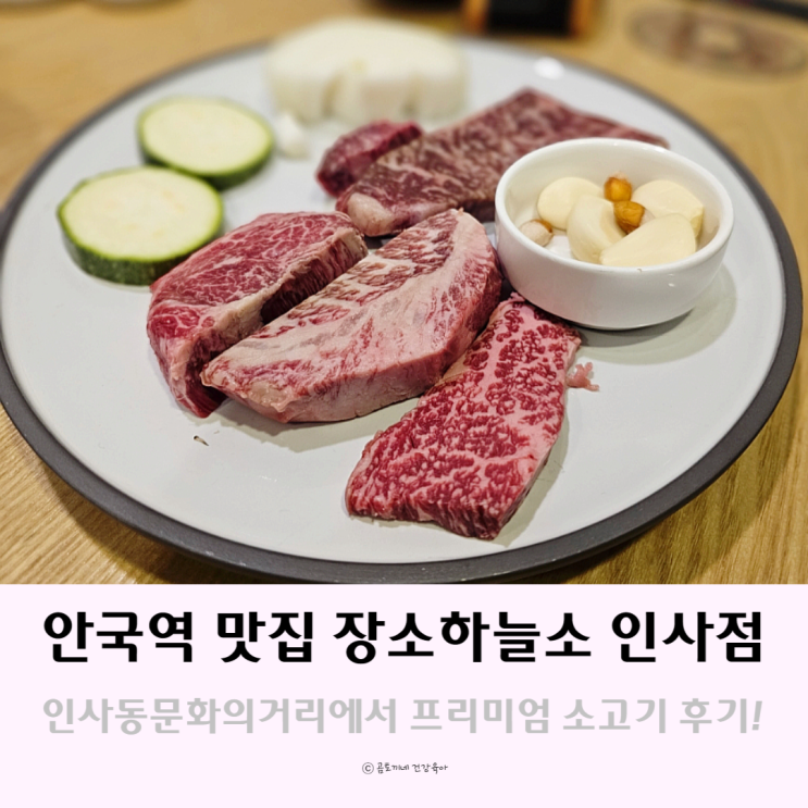 안국역 맛집 인사동문화의거리에서 프리미엄 한우를 맛볼 수 있는 장수하늘소 안국역 맛집 인사동문화의거리에서 프리미엄 한우를 맛볼 수 있는 장수하늘소